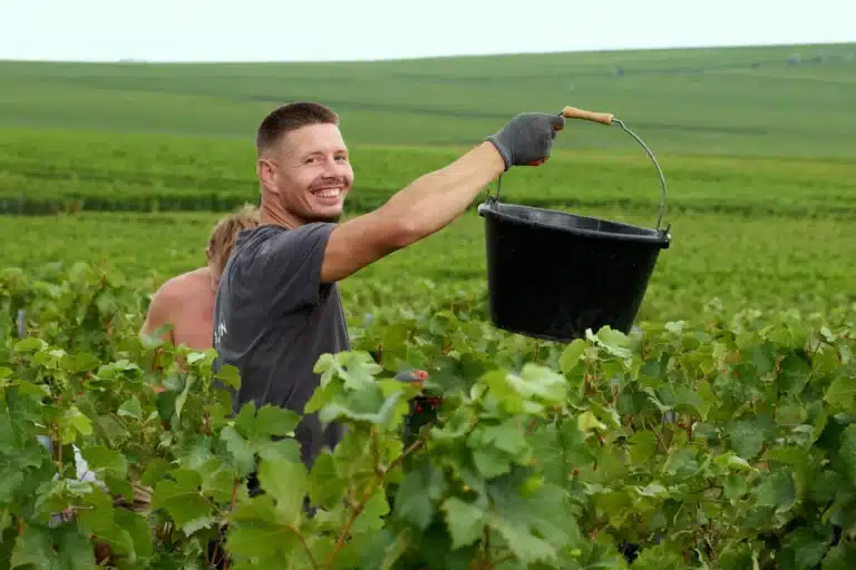 hero-vendanges-paysage