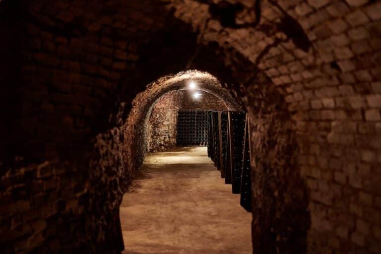 Galerie voûtée des caves du domaine